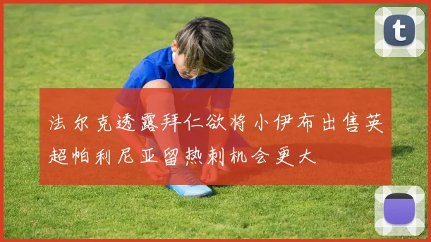 法尔克透露拜仁欲将小伊布出售英超帕利尼亚留热刺机会更大